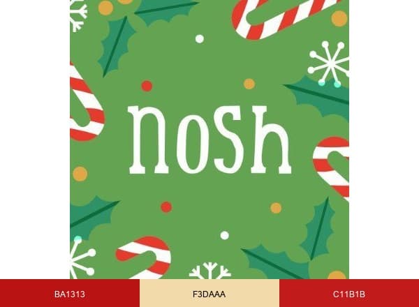 『Nosh brand color palette