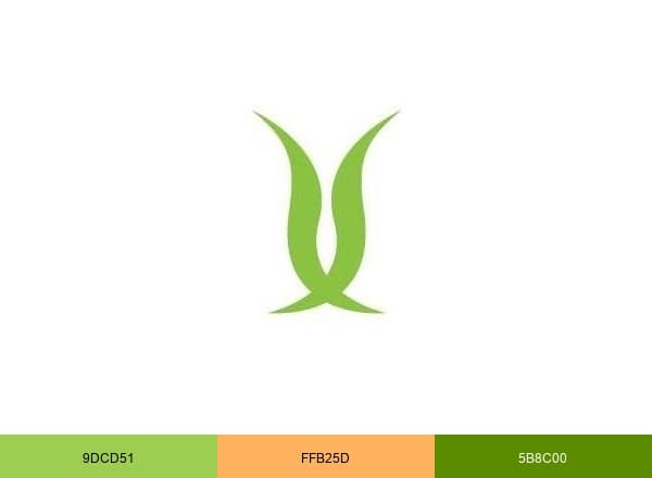 Nova Dental Clinic brand color palette
