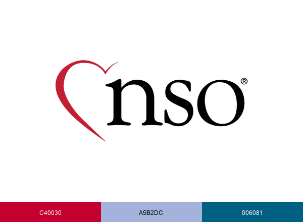 NSO: Nurses Service Organization brand color palette
