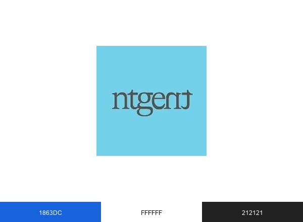 NTGent brand color palette
