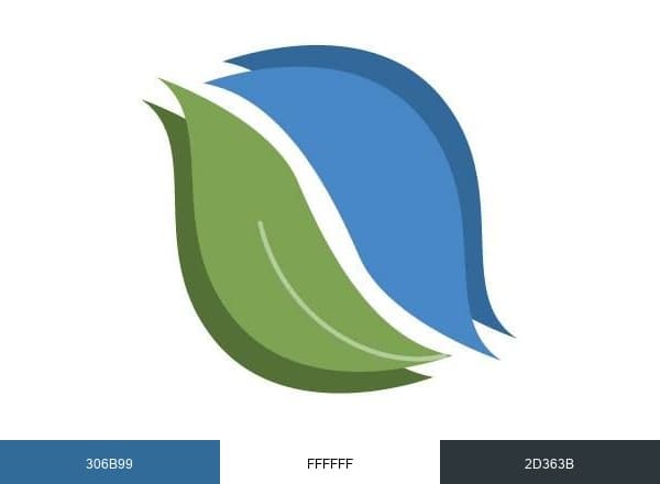 NYFalls brand color palette