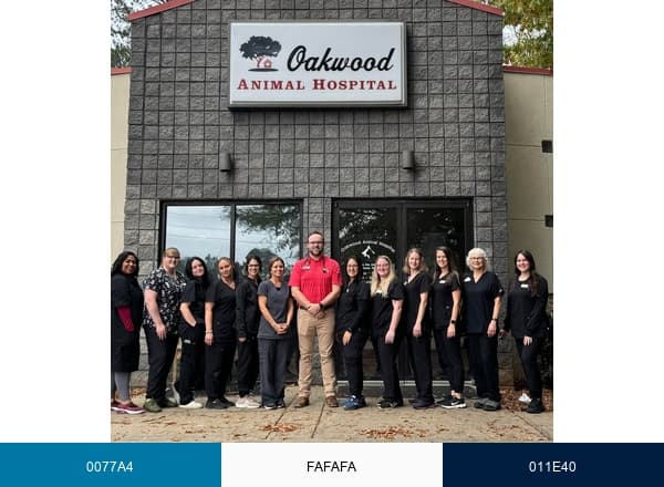to Oakwood Animal Hospital brand color palette