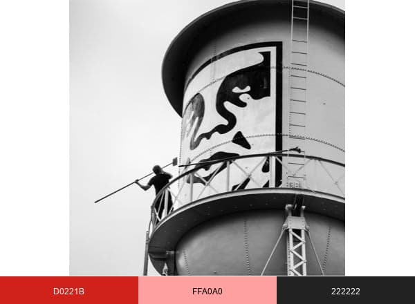 Shepard Fairey brand color palette