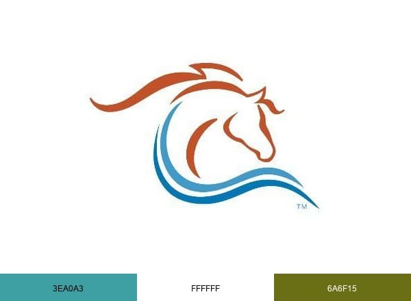 Ocala brand color palette