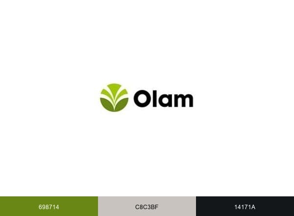 Olam brand color palette