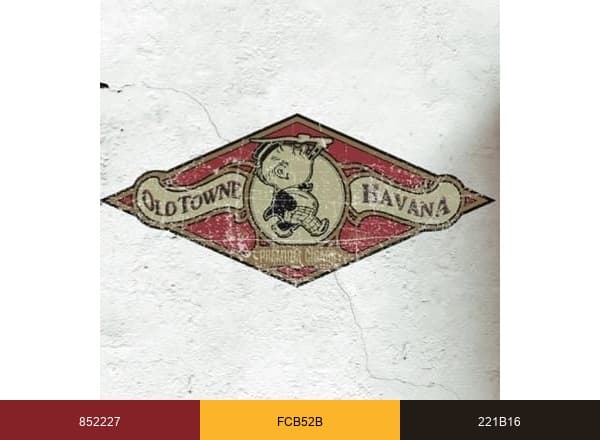Old Towne Havana brand color palette