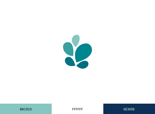 Open Path Collective brand color palette