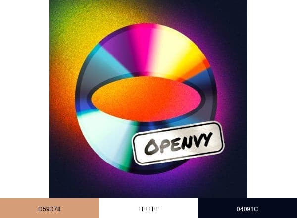 Openvy brand color palette