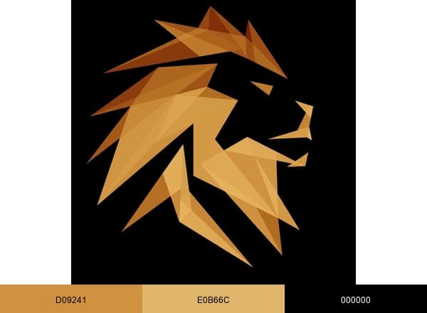 Dr. Zaki Afzal brand color palette