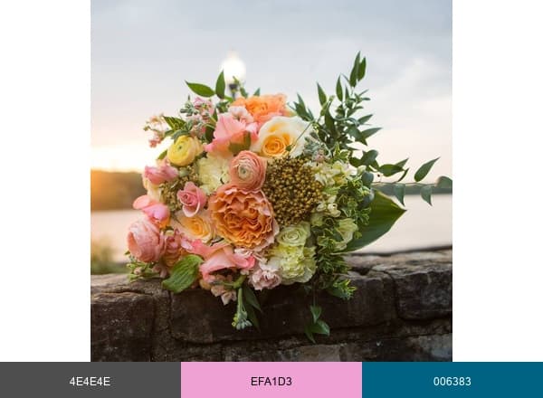Orchard Lane Flowers brand color palette