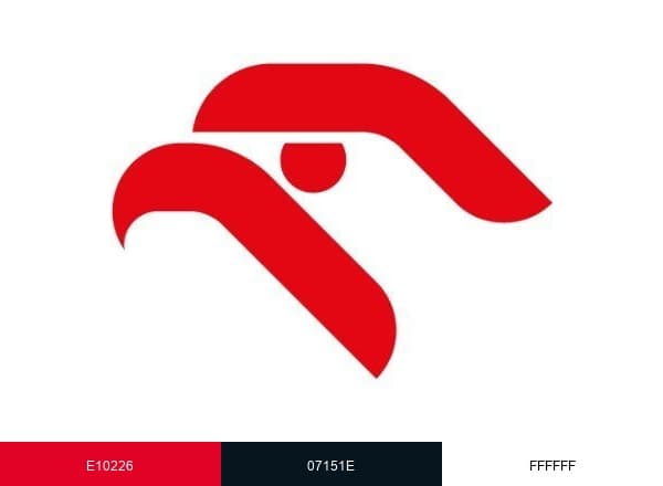 ORLEN brand color palette