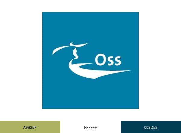 Gemeente Oss brand color palette