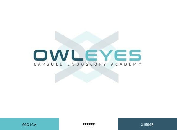Owl Eyes Academy brand color palette