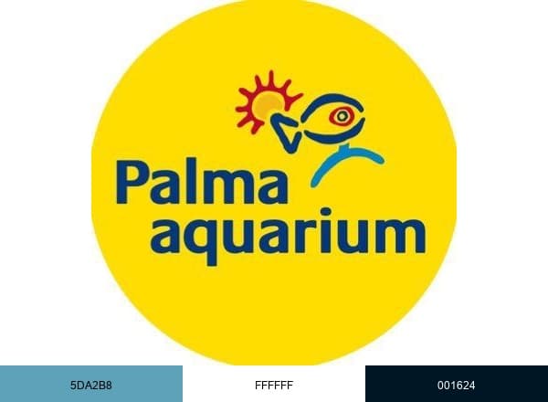 Palma Aquarium brand color palette