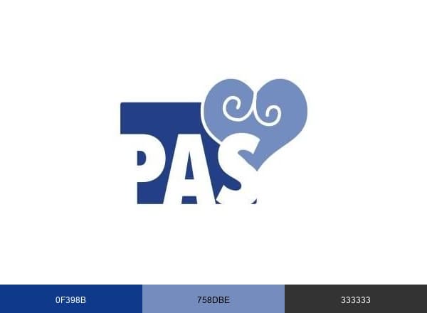PAS Self Direction brand color palette