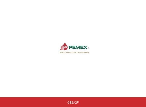Petróleos Mexicanos brand color palette