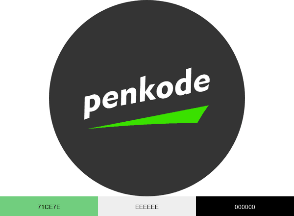 Penkode brand color palette