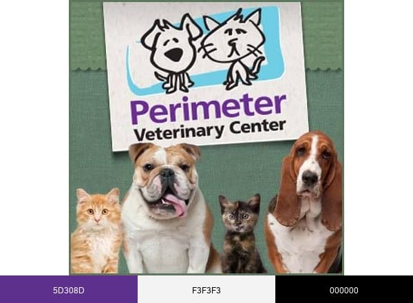 At Perimeter Veterinary Center brand color palette