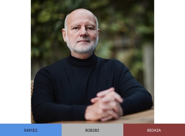 Pervers narcissique brand color palette