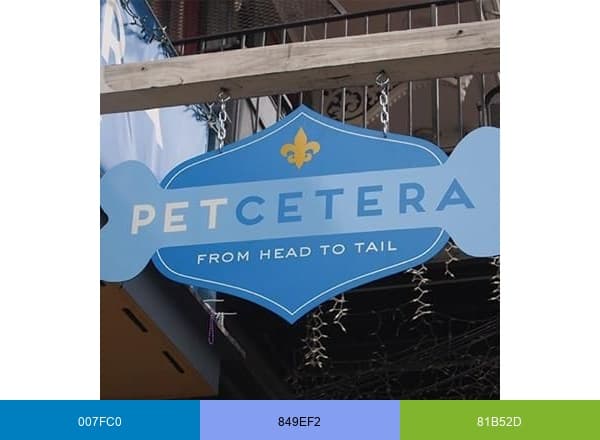 Petceteranola brand color palette