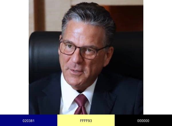 Peter Levesque brand color palette