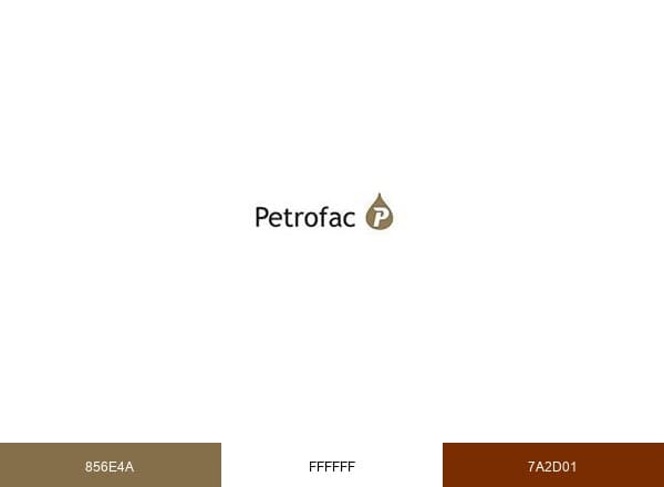 Petrofac brand color palette