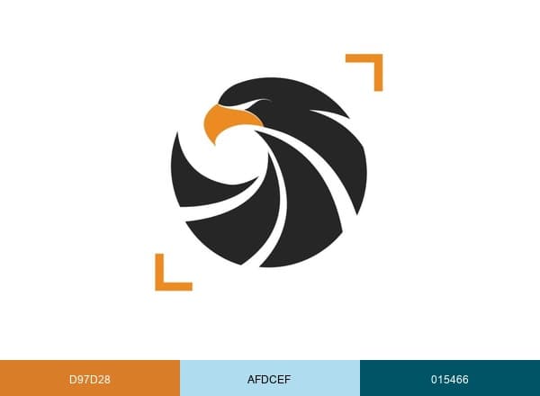 Photohawk brand color palette