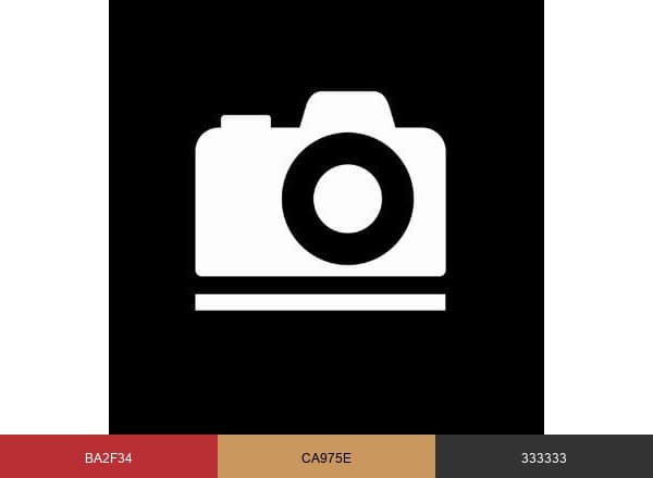 Pictureline Inc. brand color palette