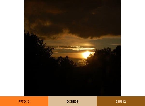 PicturePush brand color palette