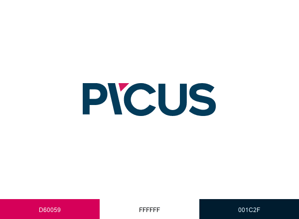 Picus Security brand color palette