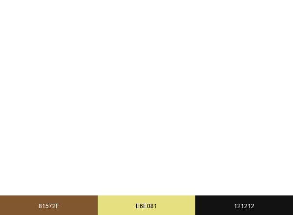 Pi brand color palette