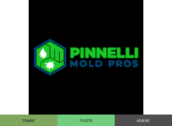 Pinnelli Mold Pros LLC brand color palette