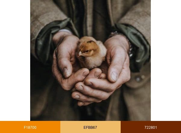 Pipers Farm brand color palette