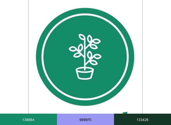 Plantepakken brand color palette