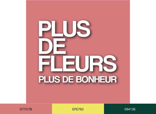 Plusdefleurs brand color palette