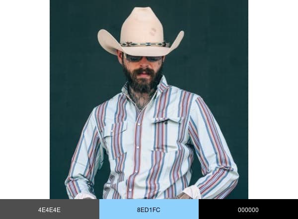 Post Malone brand color palette