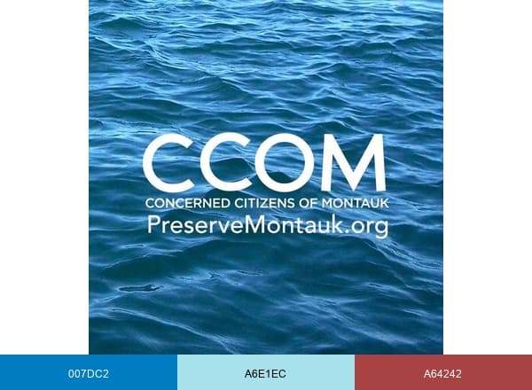 CCOMPreserve Montauk brand color palette