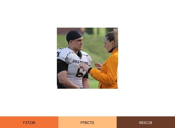ProAlign brand color palette