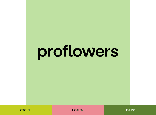 ProFlowers brand color palette