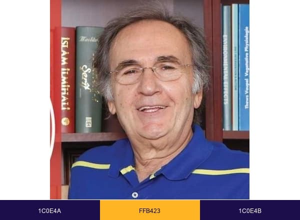 Prof Saracoglu brand color palette