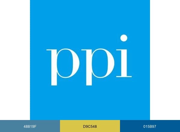 PPI brand color palette