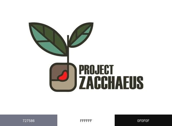 Project Zacchaeus brand color palette