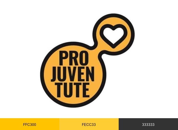 Pro Juventute brand color palette