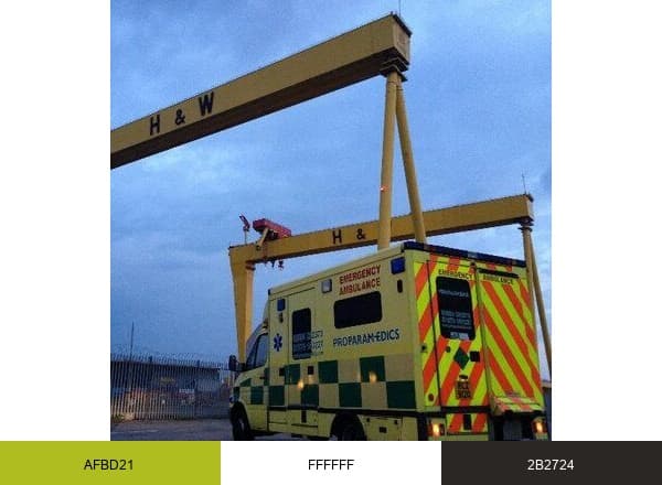 Proparamedics brand color palette