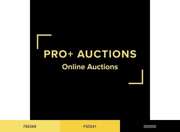 Pro+ Auctions brand color palette