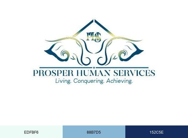 Prosper Human Services brand color palette