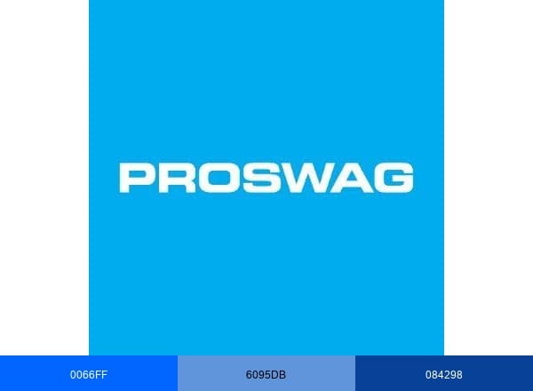 ProSwag By Procter brand color palette
