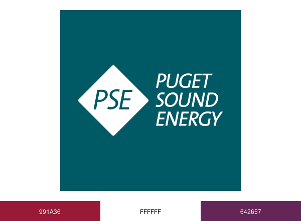PSE brand color palette