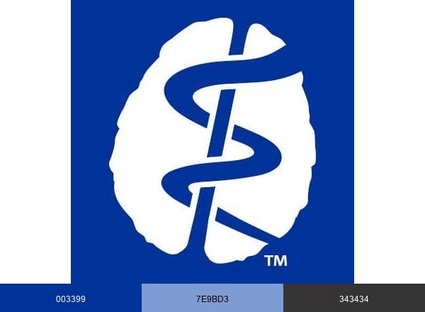 American Psychiatric Association brand color palette