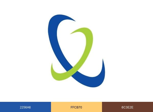 Physical Therapy Central brand color palette